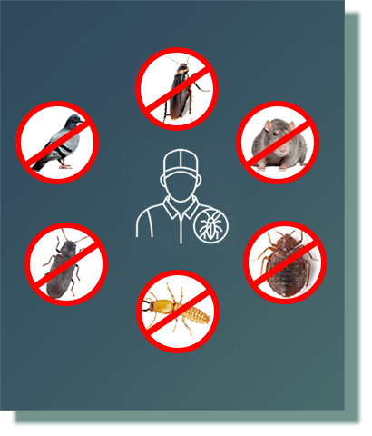 sanitizer pest control services in ahmedabad