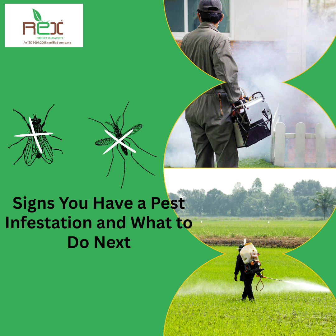 Seasonal Pest Control Tips