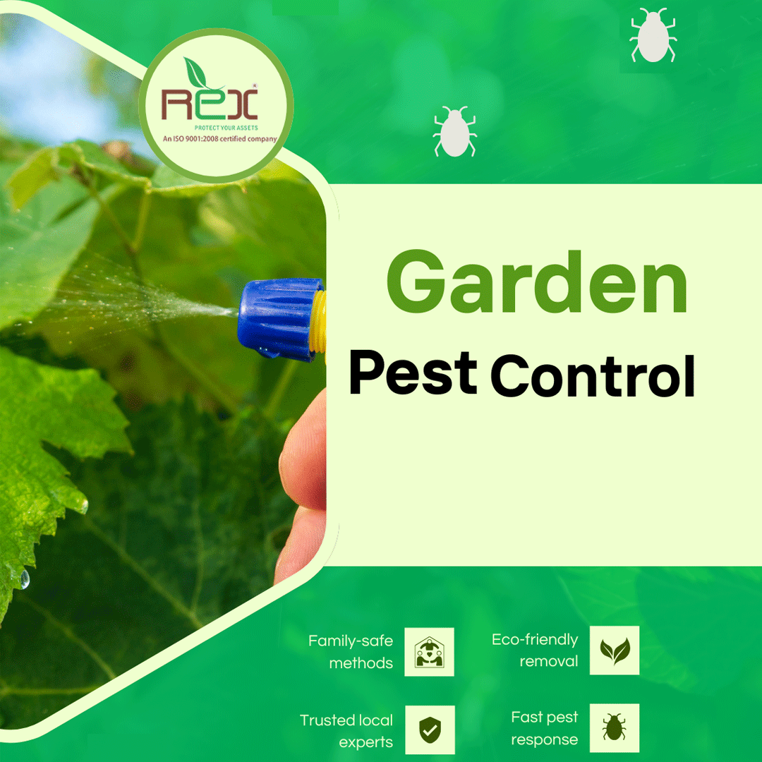 Seasonal Pest Control Tips