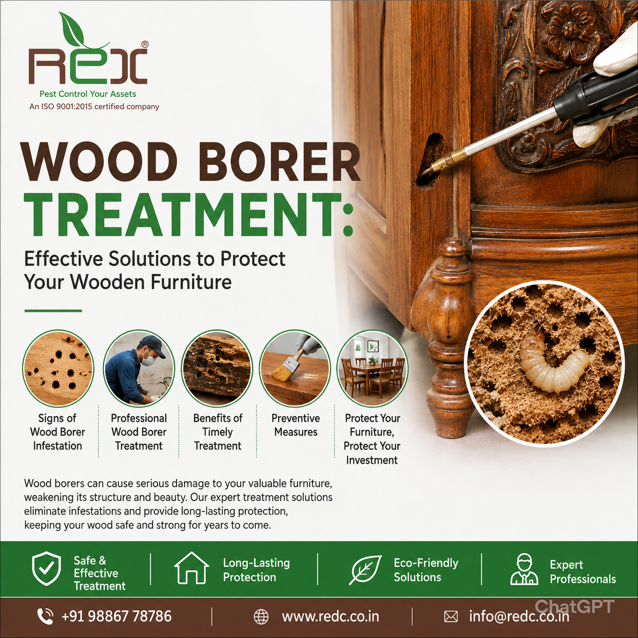 Wood Borer Treatment: Effective Solutions