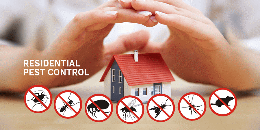 Home Pest Control