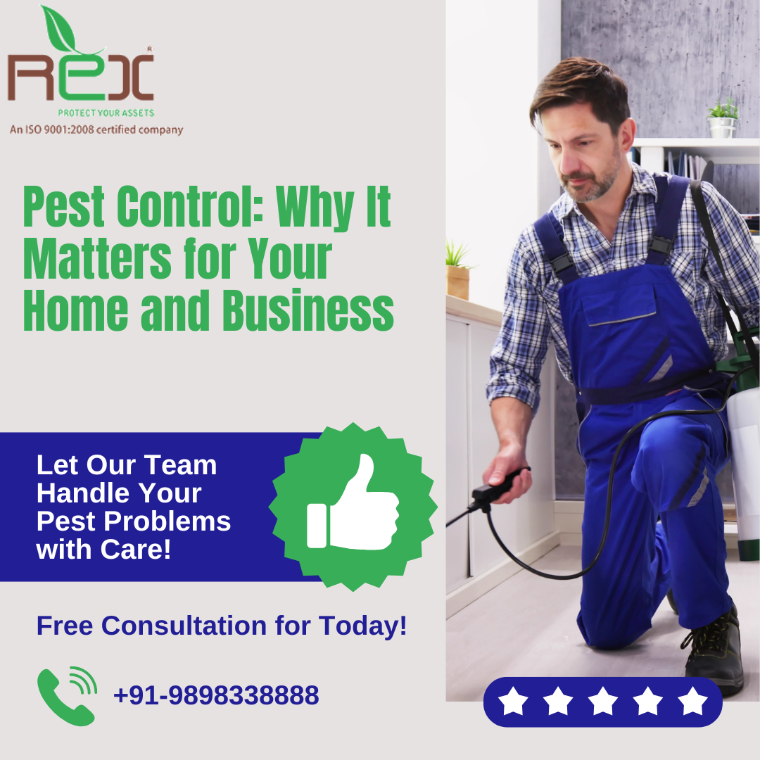 Pest Control price india