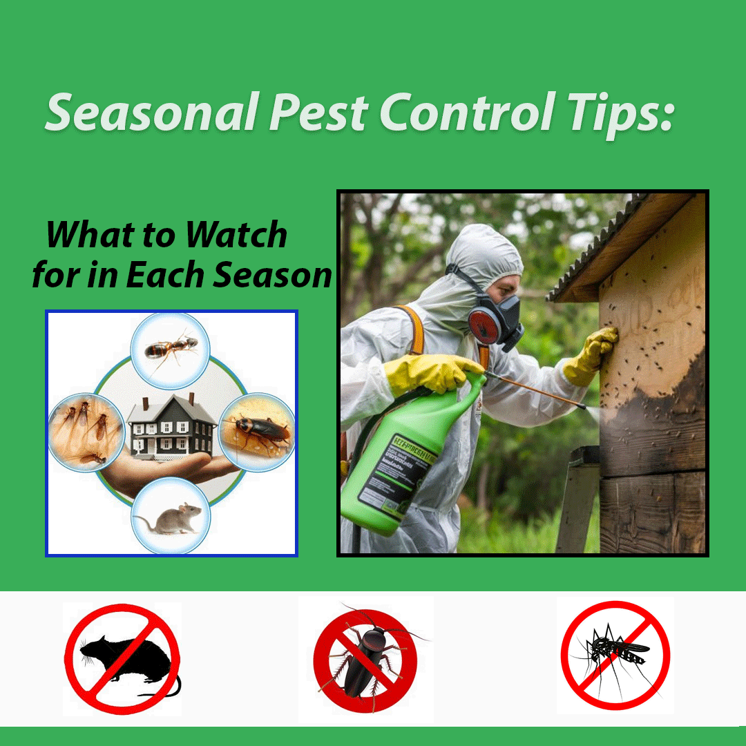 Seasonal Pest Control Tips